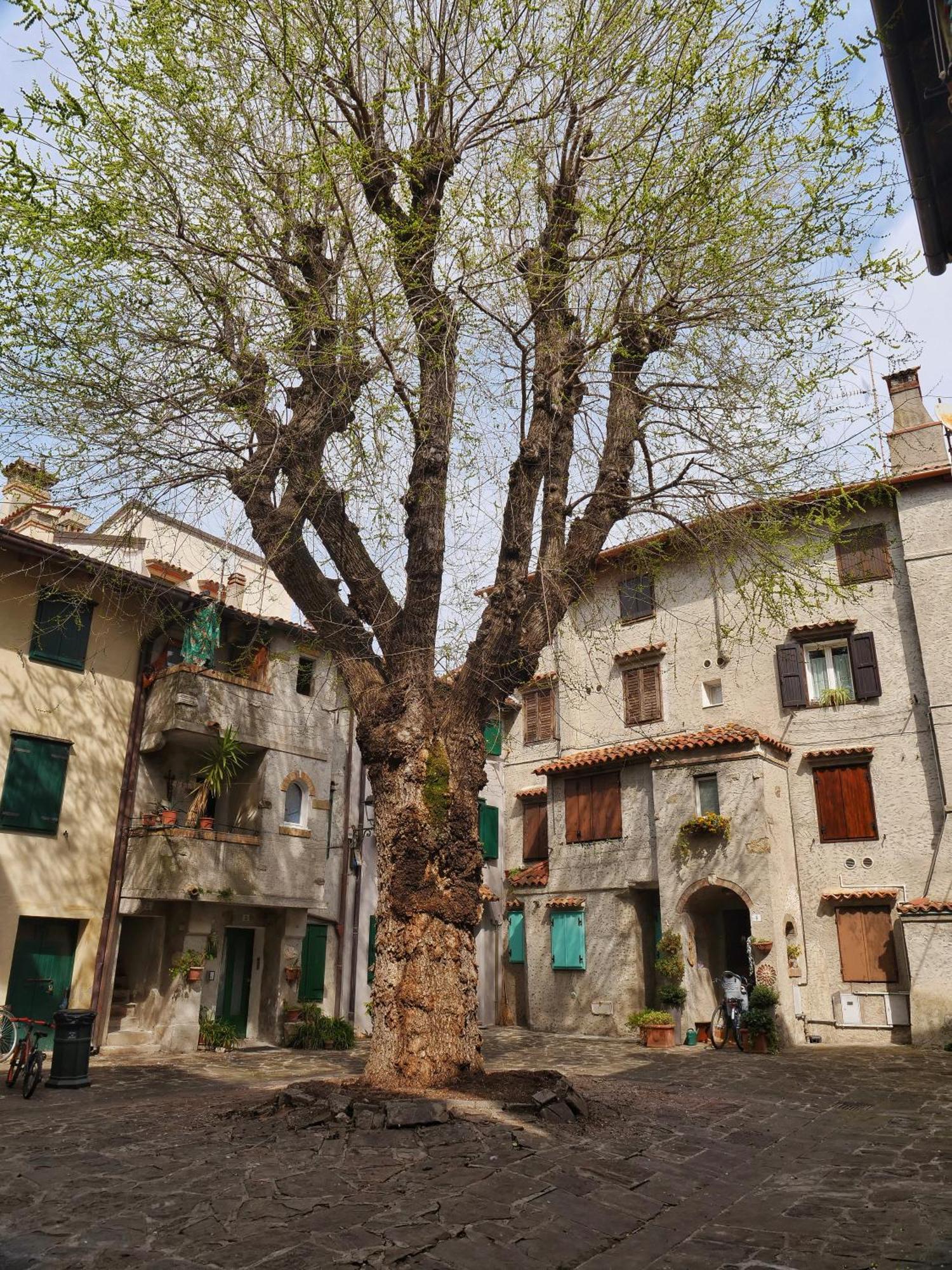 Casa Vianella - Romantico Monolocale Per Vivere Come Una Volta Grado Bagian luar foto